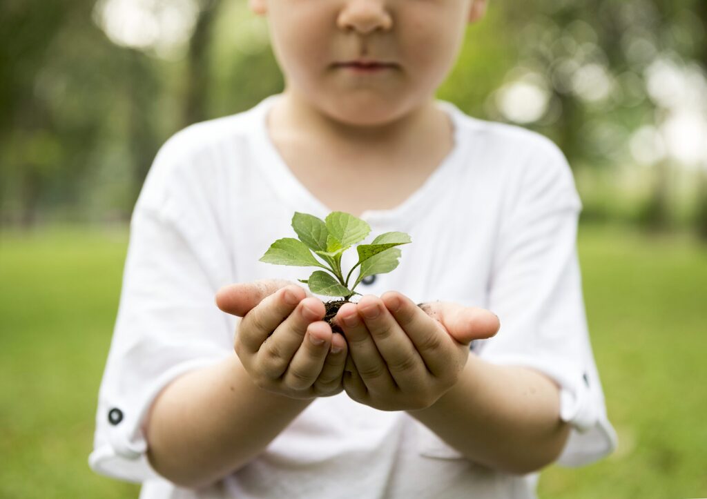 Sustentabilidade para todos