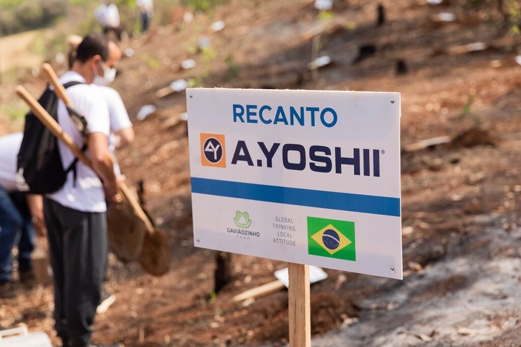 Projeto Mais Verde e Dia da Árvore: plante você também essa ideia