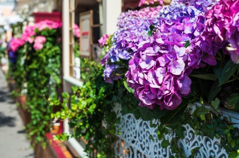 Jardim dos sonhos: dicas para florir a casa na primavera