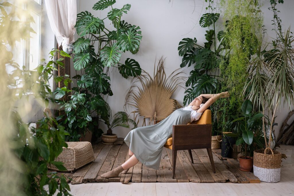 Primavera mais verde: dicas para cuidar de suas plantas
