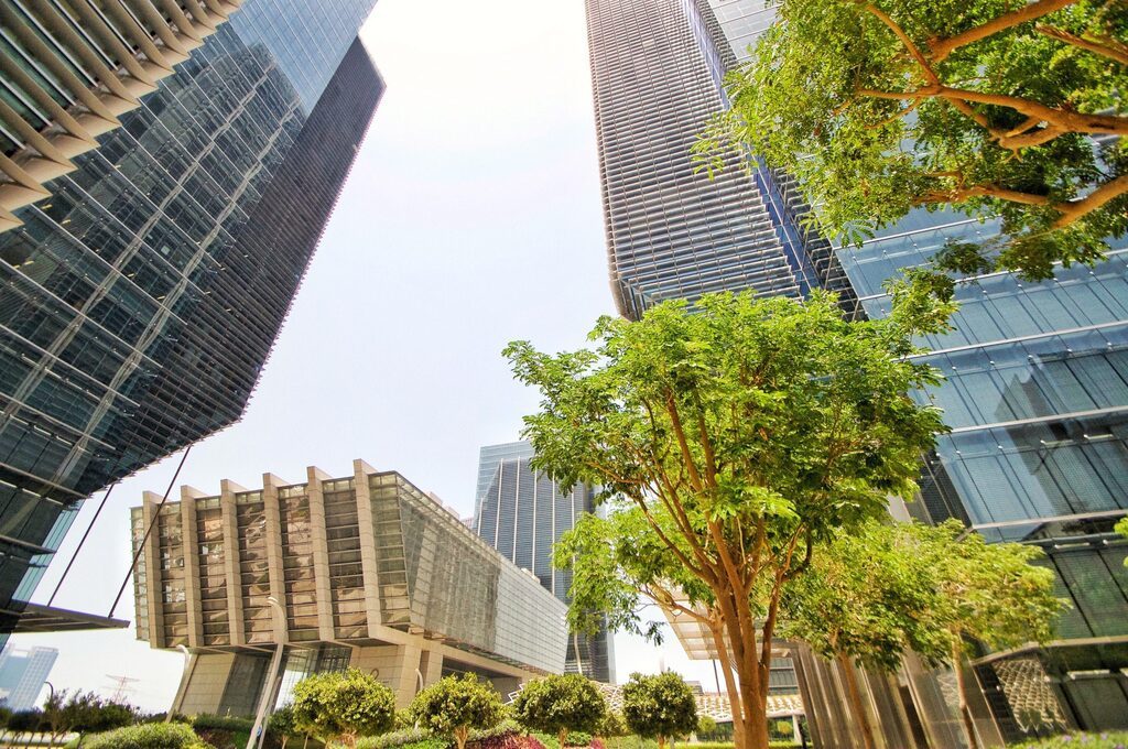 Arquitetura e natureza: conexão por um mundo melhor