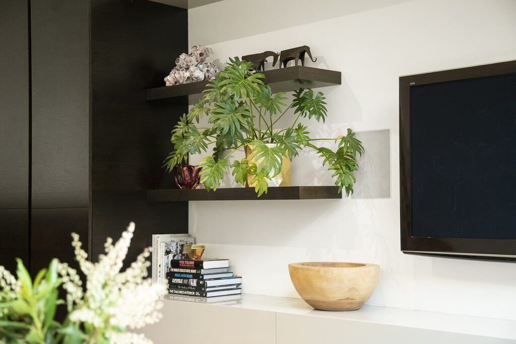 Biofilia na decoração de interiores: unindo sofisticação e natureza